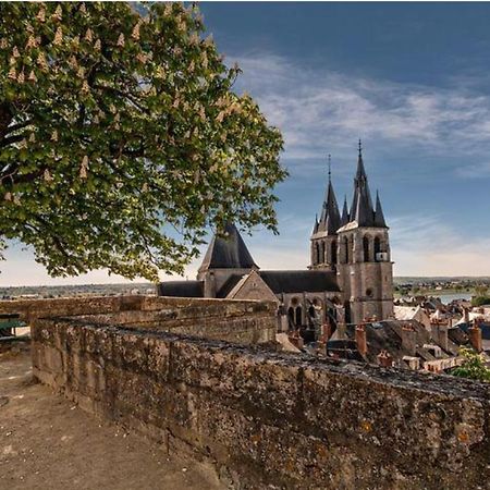 Appartement Coeur De Blois /Heart Of The City Екстериор снимка